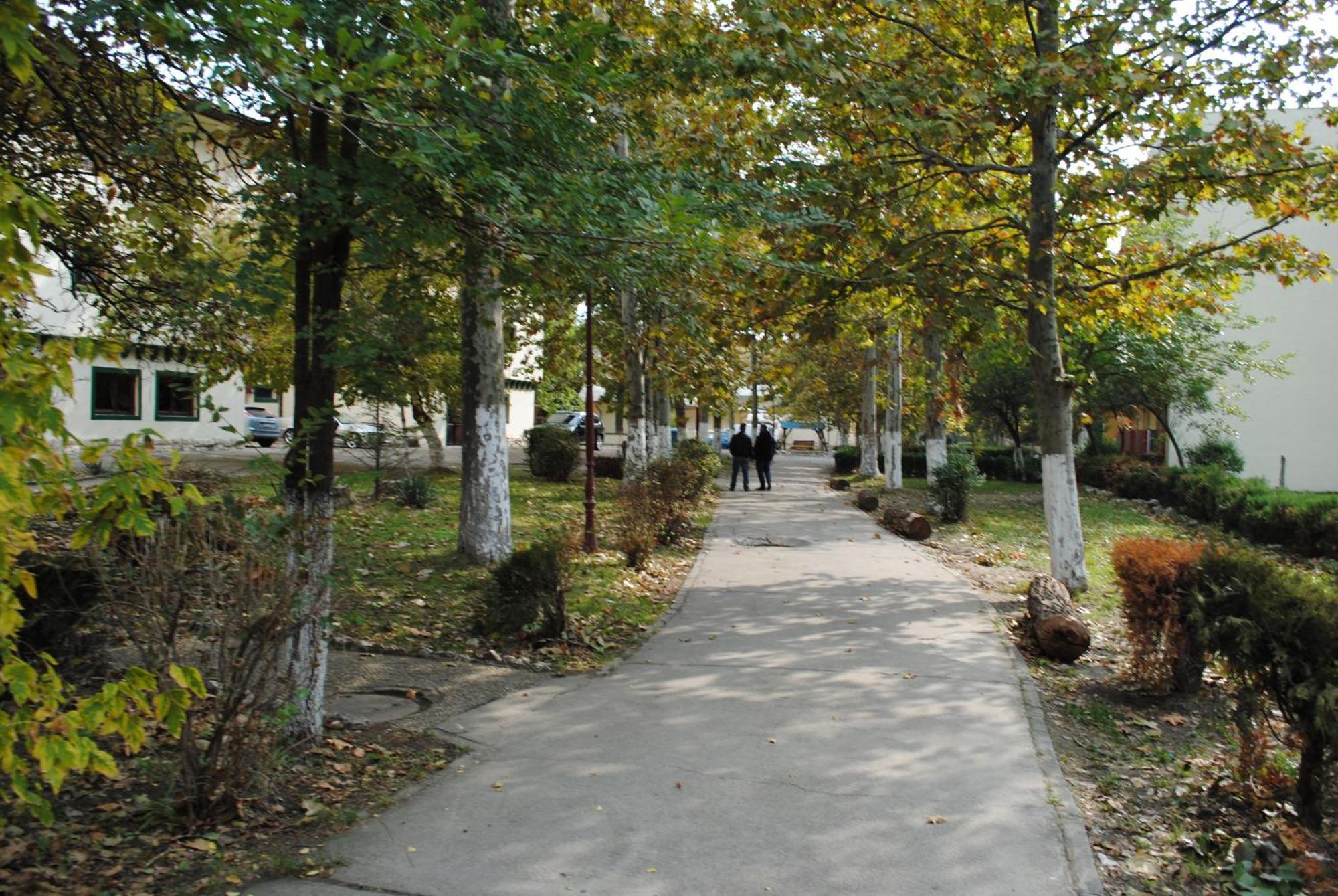 Complex Mediteranean Mamaia Dış mekan fotoğraf